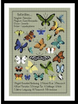 (image for) Kaleidoscope Butterfly